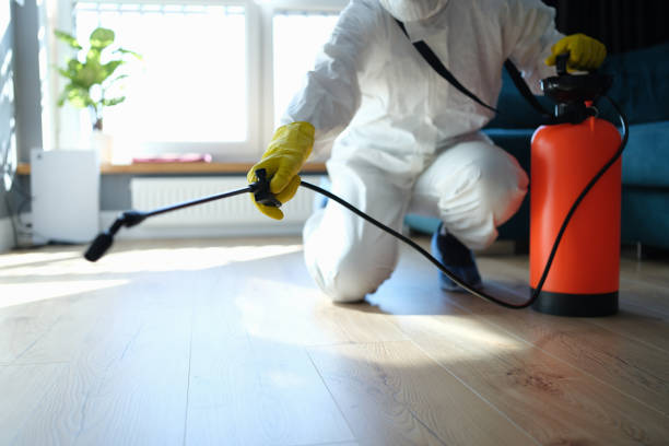 Reliable Odor Removal contractor in Solvang, CA by Dulley Family Biohazard Services